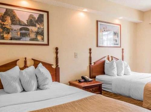 Rodeway Inn by Choice Sylacauga Hwy 280