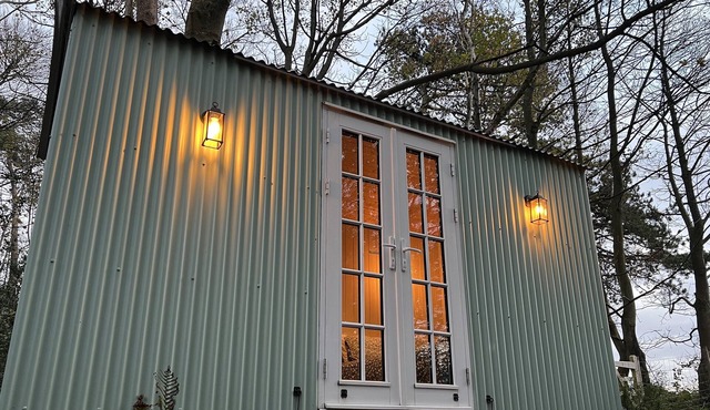 Rolling Folly Shepherds Hut in the Woods
