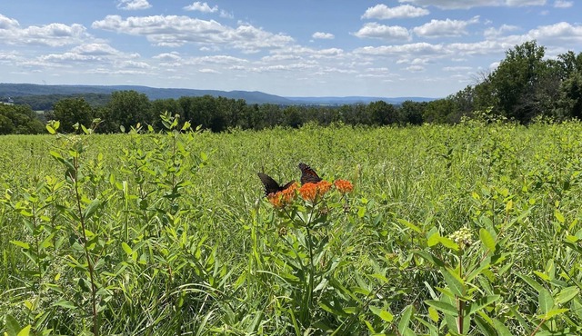 Rolling Hills Reatreats