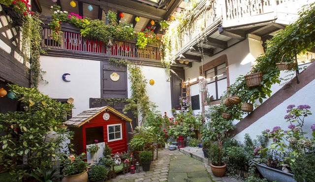 Romantic apartment on the Alsace wine route