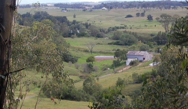 Romantic Bush Setting, Private Studio Cottage, Amazing View