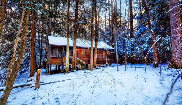 Romantic Cabin 1 with Hot Tub on Screened porch next to National Park