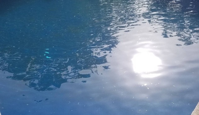 Romantic cabin 200 meters from a private river