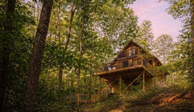 Romantic Cabin: Hot Tub, Fire Pit, Indoor & Outdoor Living, EV Charger