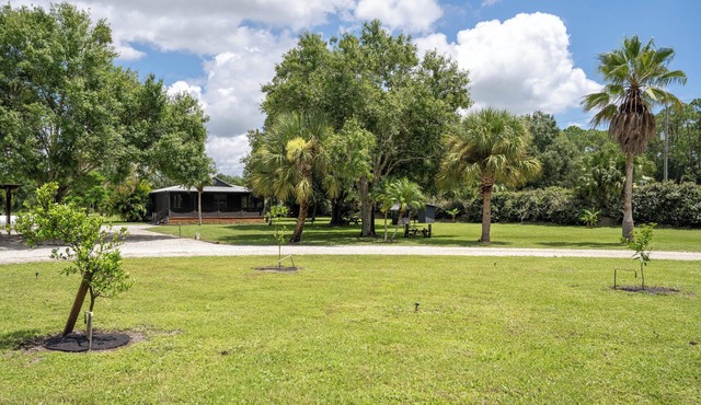 Romantic Cabin Retreat on 5 Acres. Florida Farm Stay w/Pond & Porch
