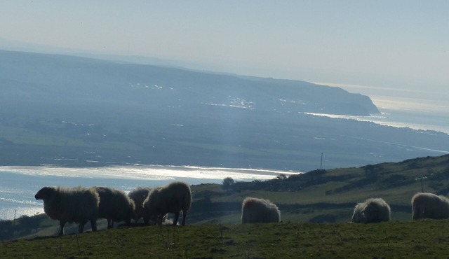 Romantic Coastal Retreat for 2 | New Hot Tub 2025