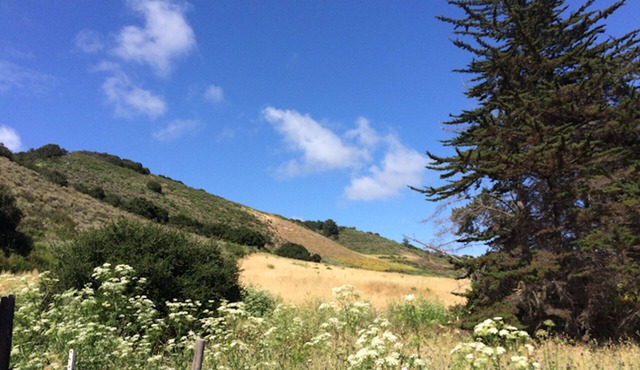 Romantic Couples Cottage, Artist-Writers Retreat in Carmel Valley Wine Country