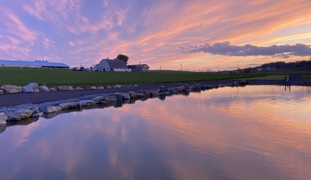 ❤️ Romantic Couples Retreat in the country❤️Farm Stay