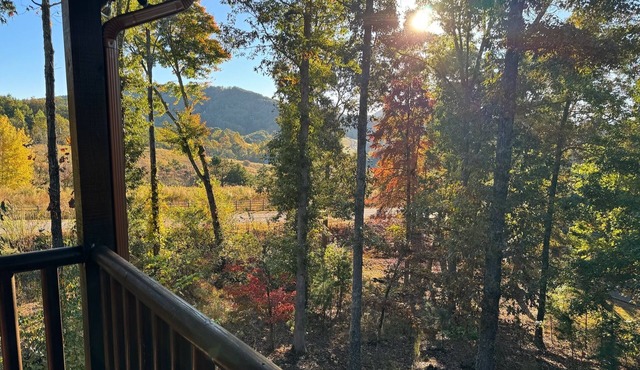 Romantic Fall Cabin - Wine, Fire Pit & Mountain Views