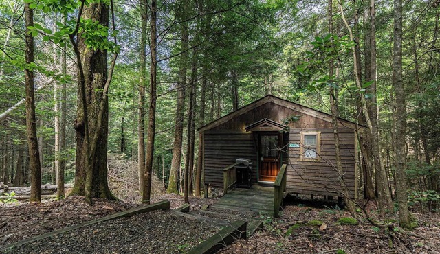 Romantic Get-away Cabin in the woods, w/Hottub next to coolest small town in USA