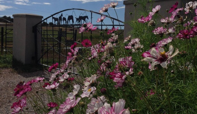 Romantic get away located on a working farm just 20 minutes from Durango.