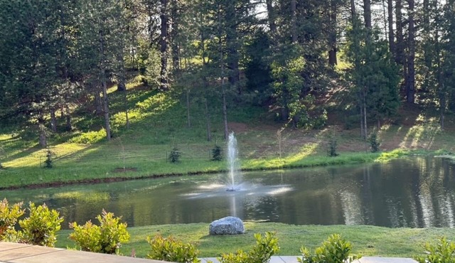 Romantic Getaway, Cabin in Apple Hill on 10 Acres with Private Pond