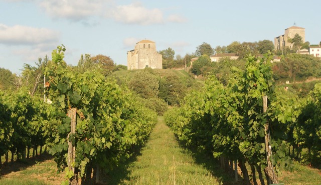 Romantic Gite & own pool, on hillside nr Saint Emilion with stunning panoramas