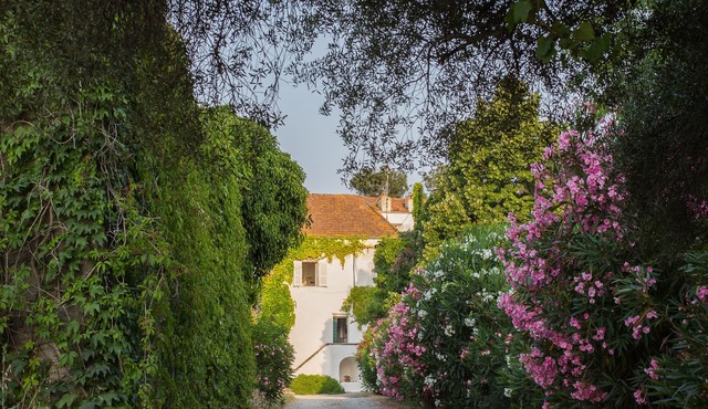 Romantic house, private swimming pool, quiet and welcoming estate