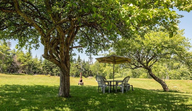 Romantic lakefront cottage minutes from ocean beach and downtown Halifax