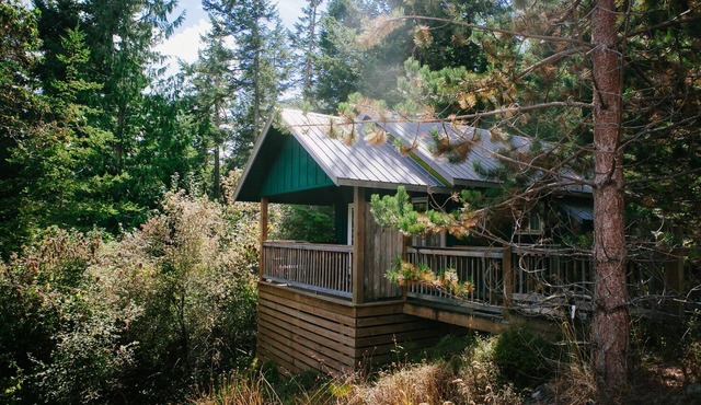 Romantic Lummi Cottage, Secluded in the Trees with Water View & Beach Path