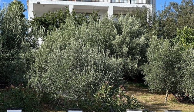 Romantic luxury escape