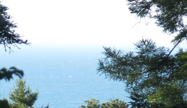 Romantic newly renovated beach cottage