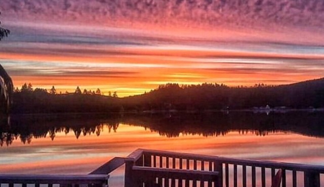 Romantic, pet friendly lakefront cabin!