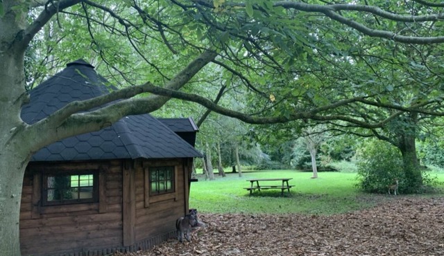 Romantic Pixie Hut with Private Woodland