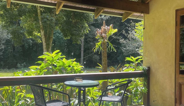 Romantic Rainforest Rockpool Cabin in beautiful Currumbin Valley