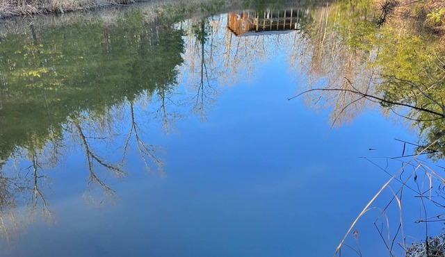 Romantic Red River Gorge Cabin w/Hot Tub, Pond Views & Dog Friendly
