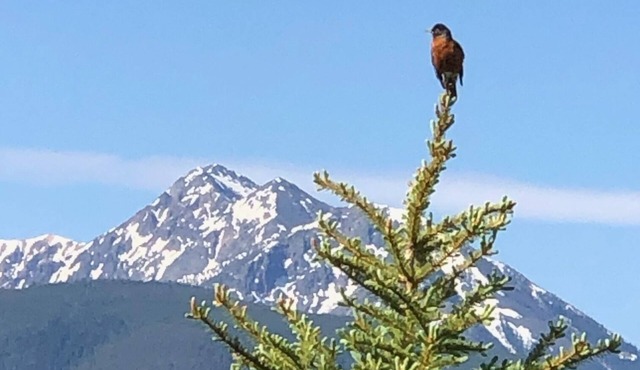 Romantic Retreat for Two: Make A Montana Memory!