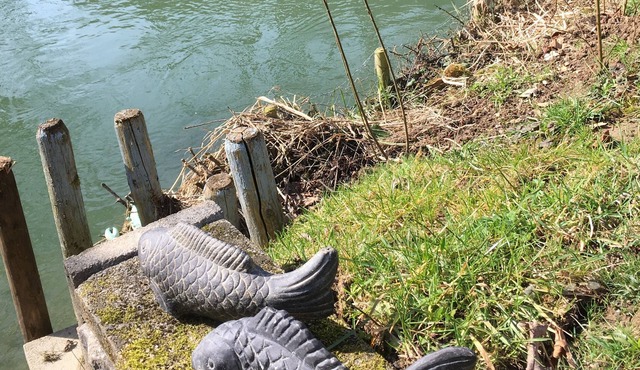 Romantic riverside apartment in a large Park near Porrentruy.