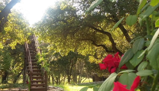 Romantic & Secluded Hill Country setting