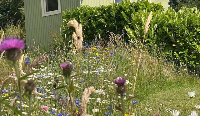Romantic Shepherd hut with private hot tub over looking breathtaking views