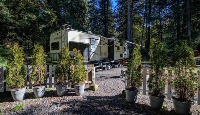 Romantic Stay on Riverfront 30 Acres w/ Hot Tub. Dog Friendly. LGBTQ Owned!