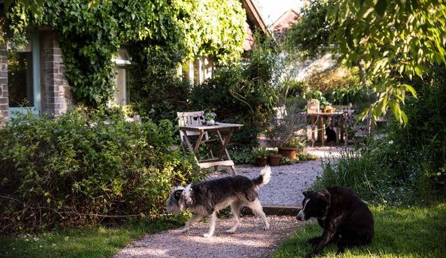 Romantic sunny South Devon garden cottage with wifi set in garden and woodland