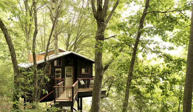 Romantic Tree House near Chattanooga in the North Georgia Woodlands