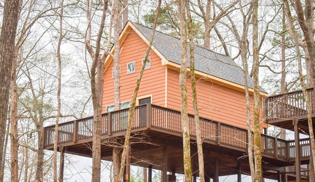 Romantic Treehouse Paradise