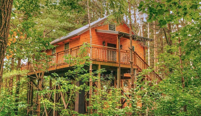Romantic Treehouse Getaway with Treetop Views