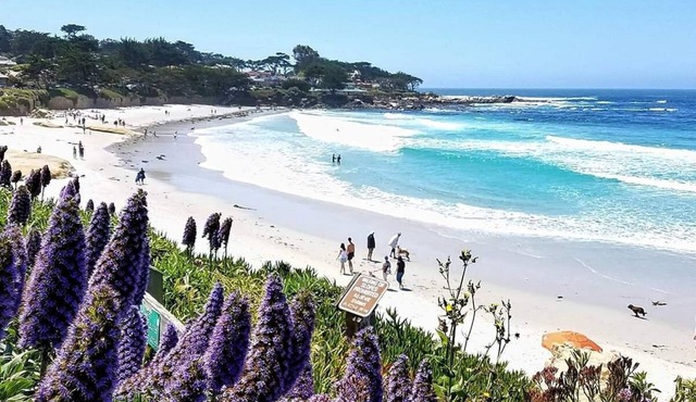 Romantic Tuscan-style Villa with Amazing Views