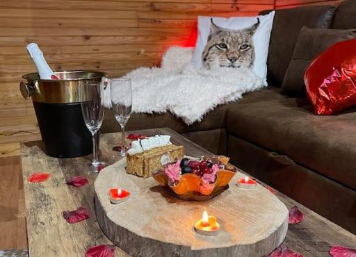 Romantique chalet avec sauna et jacuzzi extérieur