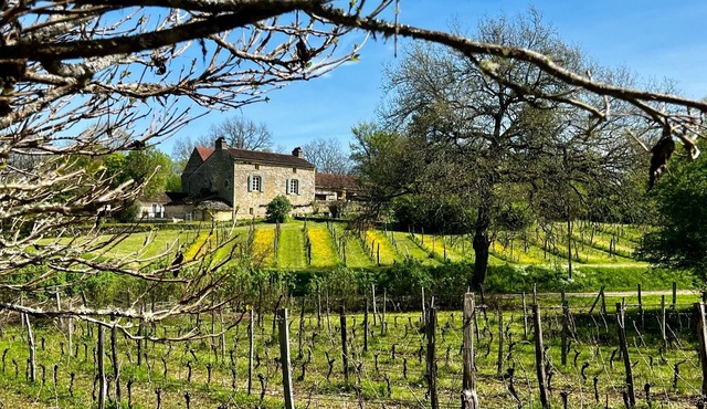 Romantische wijnboerderij met zwembad, buitenkeuken en pizza-oven.