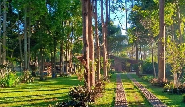 Ronia Mountain Villa Lembang