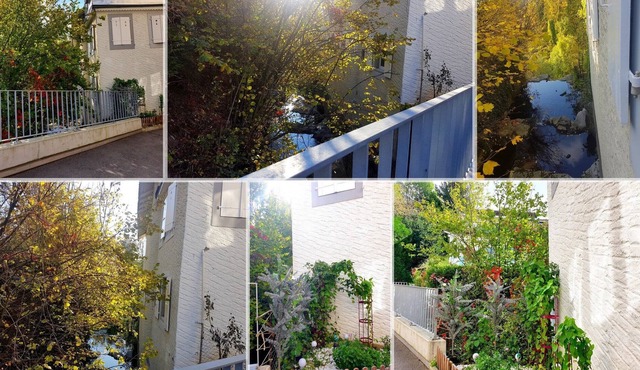 roof terrace above the birds