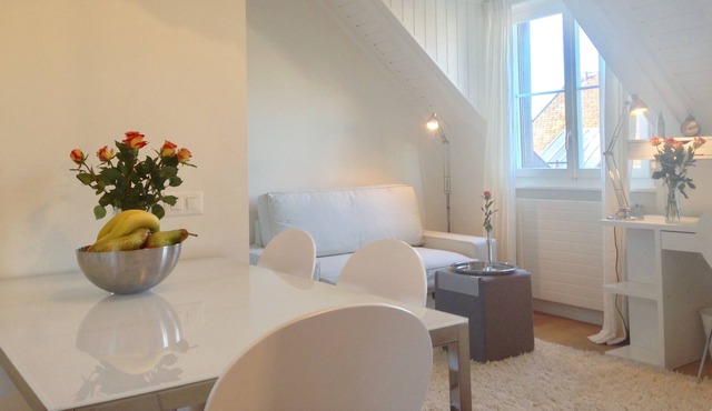 Roof Top Apartment in the Heart of Vieux Carouge, Geneva's fanciest neighborhood