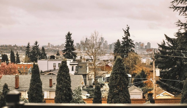 Rooftop Lake Union & Skyline Views - New Eco Home in Wallingford