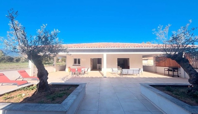 Rooftop villa les oliviers