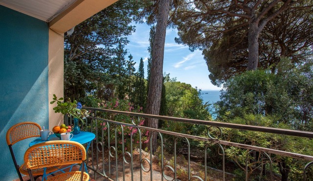 Room 'Du Levant' with Sea View, Shared Terrace and Wi-Fi