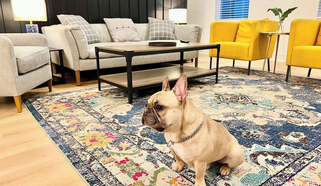 Room for everyone: 3 queen bedrooms & 3.5 baths sleep 10 in comfort. Stay entertained: game room with board games & smart TV after Broadway & Opry adventures. Free driveway parking Fast Wi-Fi & workspace Kid-friendly: crib, toys,