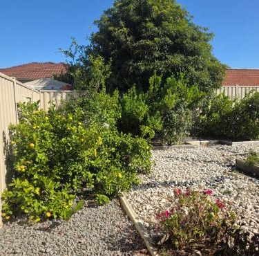 Room for rent female only Free cooking, laundry,1