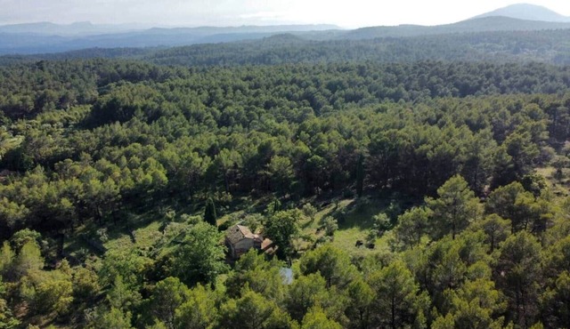 Room in a Provençal bastidon