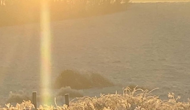 Room in Elegant home w/beautiful Countryside views