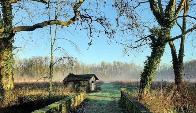Room in the Château logis