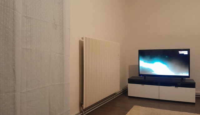 Room in quiet, clean apartment